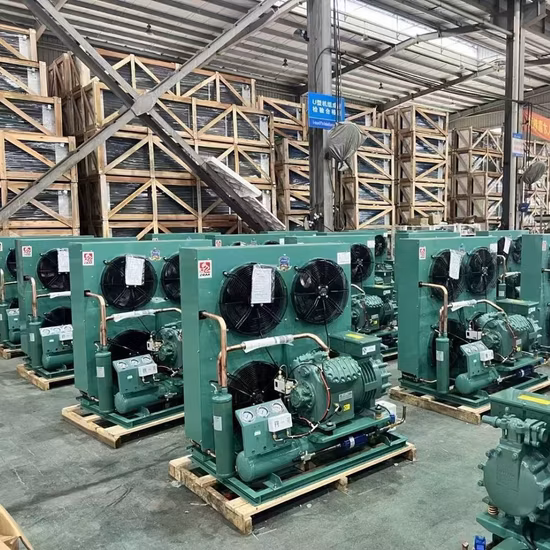 Cold Room Refrigeration Unit Cooling System Walk in Freezer Cold Storage Room